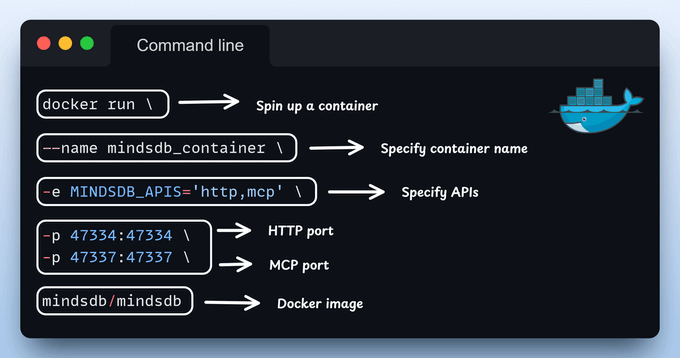 Docker Setup